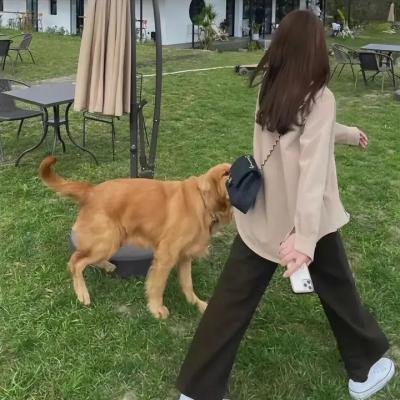 毕业那年:分手季