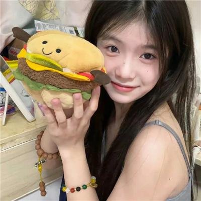 破坏性计划